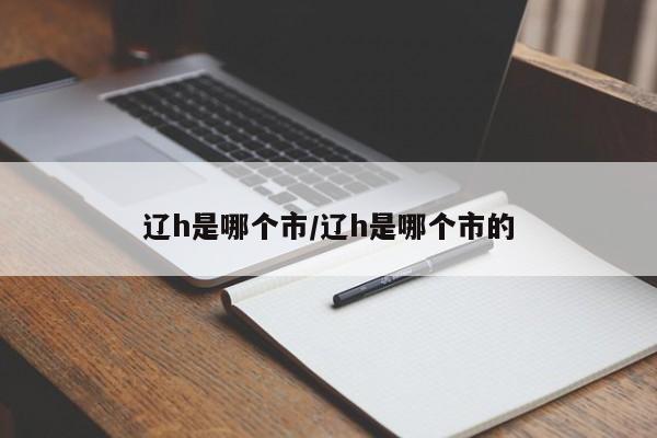 辽h是哪个市/辽h是哪个市的