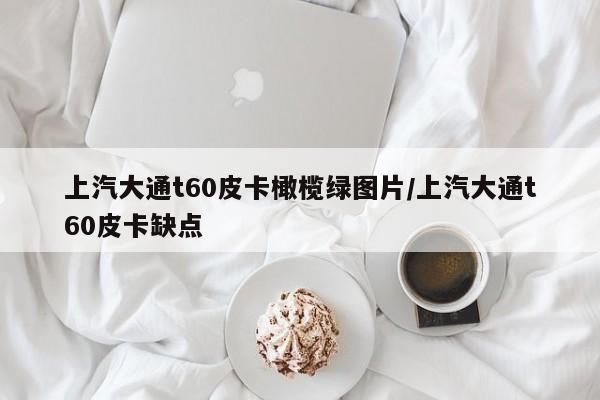 上汽大通t60皮卡橄榄绿图片/上汽大通t60皮卡缺点