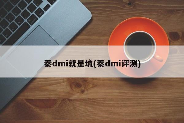 秦dmi就是坑(秦dmi评测)