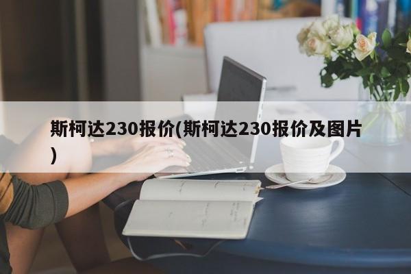 斯柯达230报价(斯柯达230报价及图片)